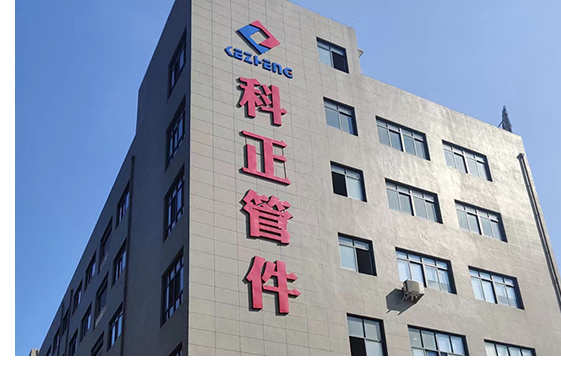 轉(zhuǎn)子片專業(yè)廠家-溫州鼎龍電子科技有限公司 轉(zhuǎn)子片專業(yè)廠家-溫州鼎龍電子科技有限公司